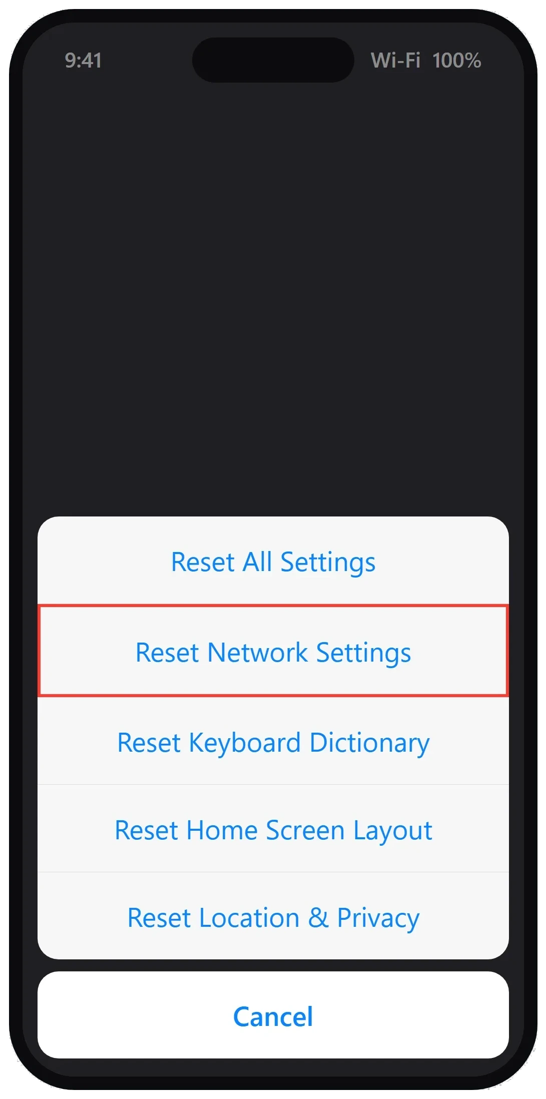Reset Network Settings option on iPhone