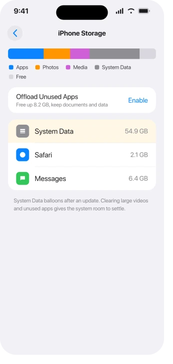 iPhone Storage screen showing space used and large items to delete