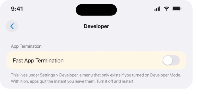 iOS Settings search showing the Developer menu and Fast App Termination toggle