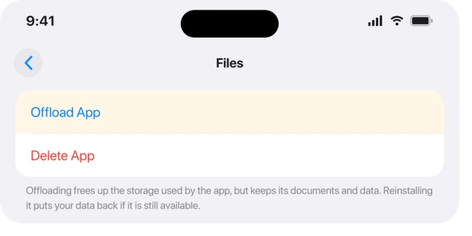iPad Storage screen for Files with Offload App