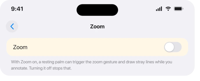 The Accessibility Zoom screen turned off