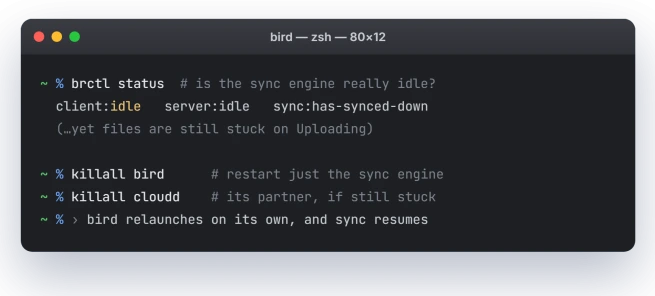 macOS Terminal showing brctl status reporting client idle, then killall bird and killall cloudd to restart iCloud Drive syncing
