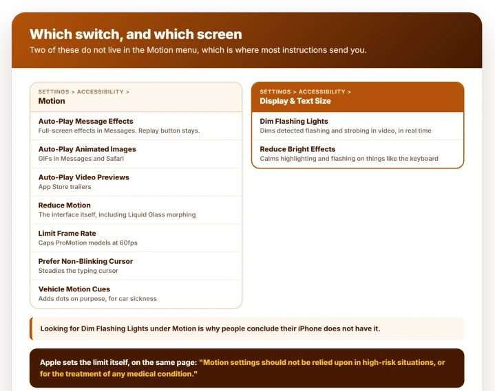 Reference card listing the seven controls in Settings, Accessibility, Motion, alongside the two flashing controls that live under Display and Text Size instead