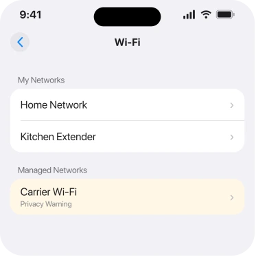 The Managed Networks section, where a carrier network carries the warning