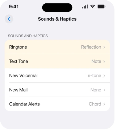Sounds and Haptics, with Ringtone and Text Tone as separate rows
