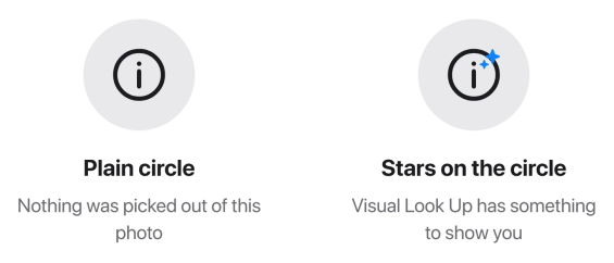 The Info button with and without its star