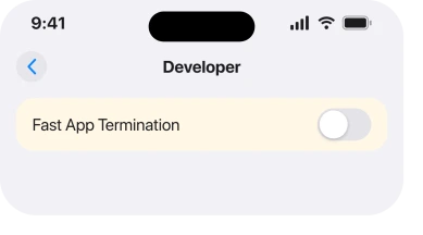 The Developer screen with Fast App Termination