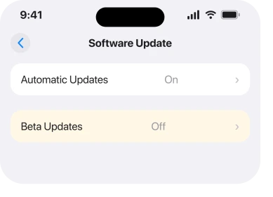 Settings, General, Software Update, Beta Updates