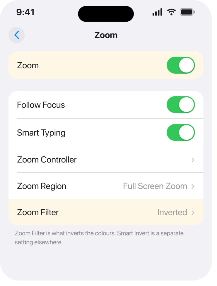 Settings, Accessibility, Zoom with Zoom Filter