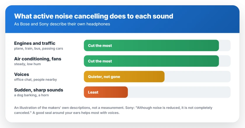What active noise cancelling does to different sounds: engine hum and air conditioning drop the most, voices get quieter but stay, and sudden sharp sounds like a dog barking get through the most