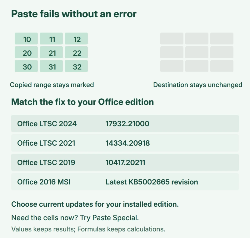 A copied Excel range stays selected while the target cells remain empty, with the Office edition deciding which update applies