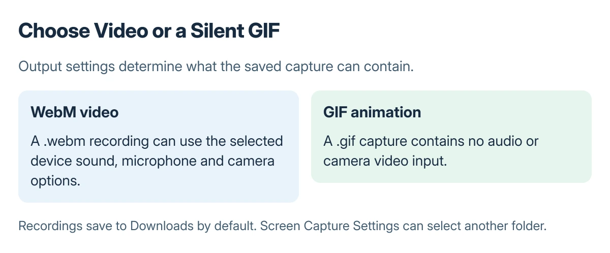 Chromebook output comparison: a WebM recording can use the selected audio and camera options, while a GIF is a silent animation without camera input