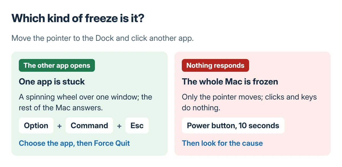 Two kinds of Mac freeze compared: one app with a spinning wheel, where the Dock still responds and Force Quit fixes it, and a whole-system freeze, where only the pointer moves and the power button is the way out