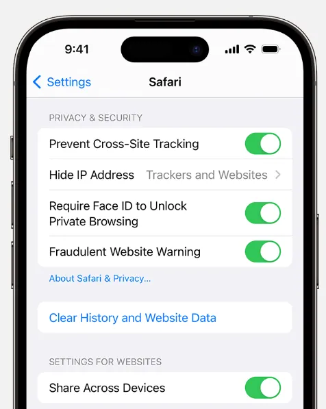 Clearing browser data on iPhone
